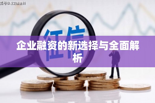 于田企业融资的新选择与全面解析