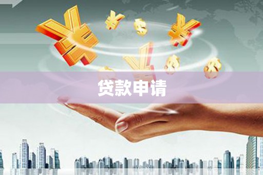 于田贷款申请