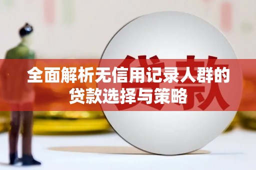 于田全面解析无信用记录人群的贷款选择与策略