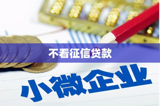 于田不看征信贷款