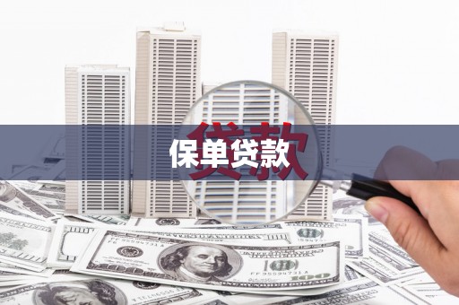 于田保单贷款